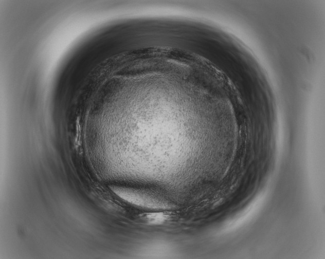 X0000113240050200910011334