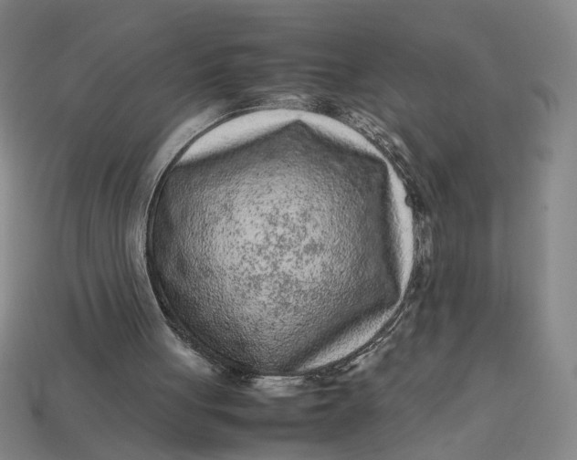 X0000113240051200910011334