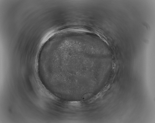 X0000113240053200910011334