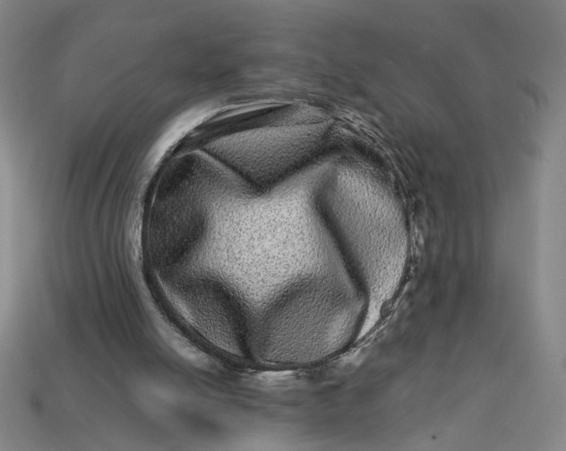 X0000113240054200910011334