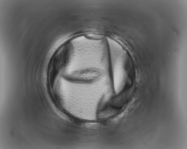 X0000113240055200910011334