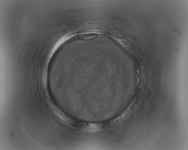 X0000113240056200910011334