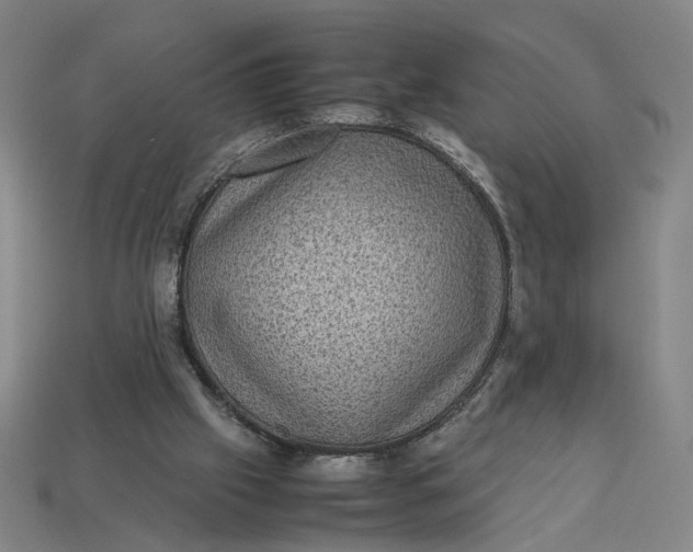 X0000113240057200910011334