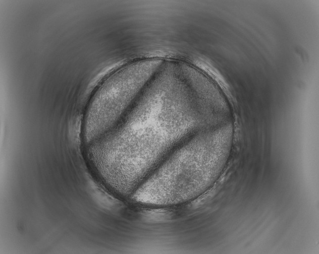 X0000113240058200910011334