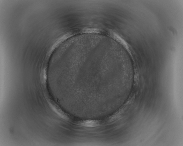 X0000113240059200910011334