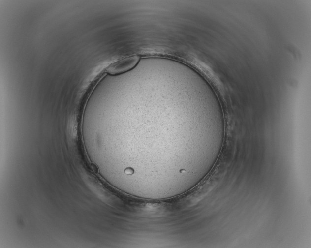 X0000113240060200910011334