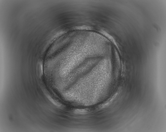 X0000113240061200910011334