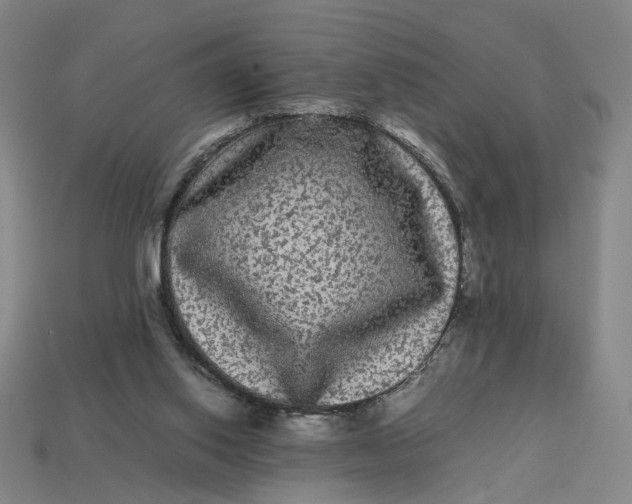 X0000113240062200910011334