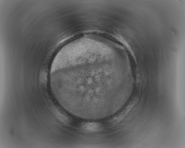 X0000113240063200910011334