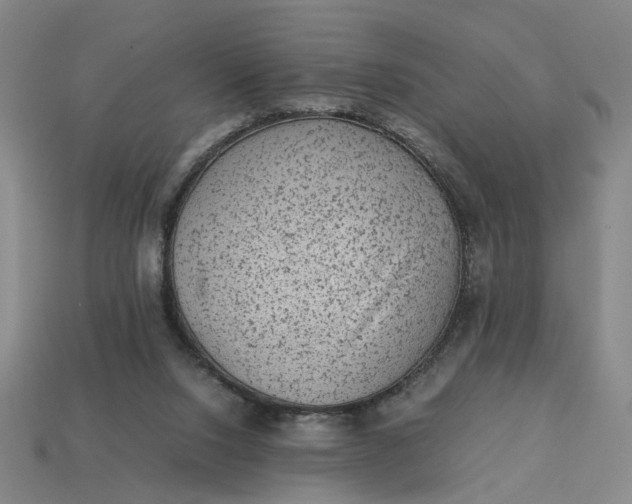 X0000113240064200910011334