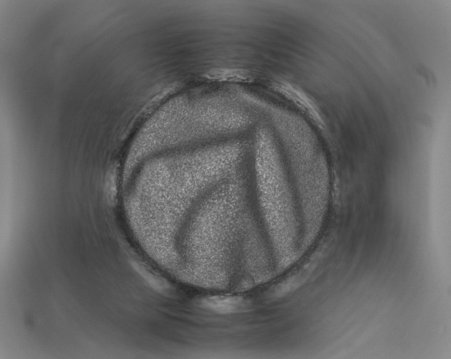 X0000113240065200910011334