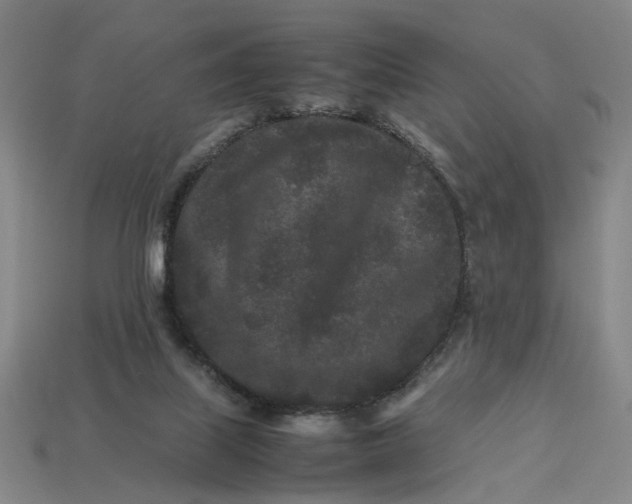 X0000113240067200910011334