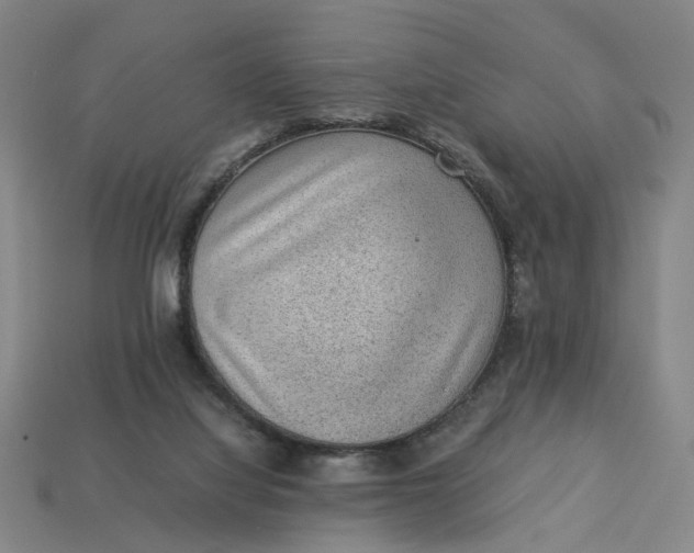 X0000113240068200910011334