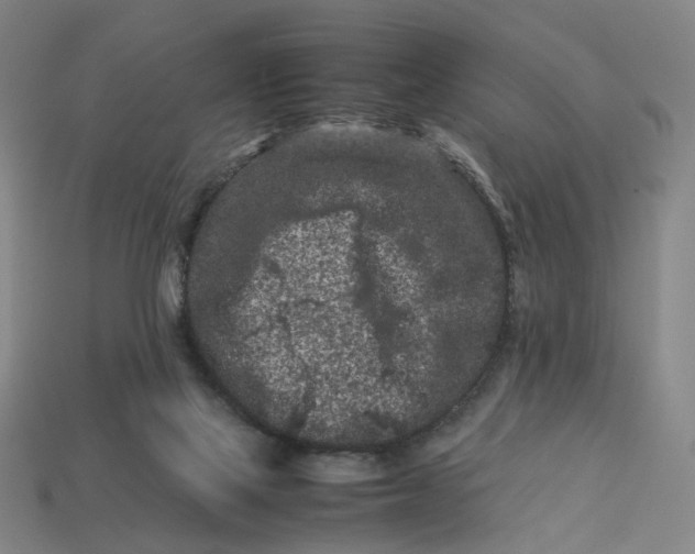 X0000113240069200910011334