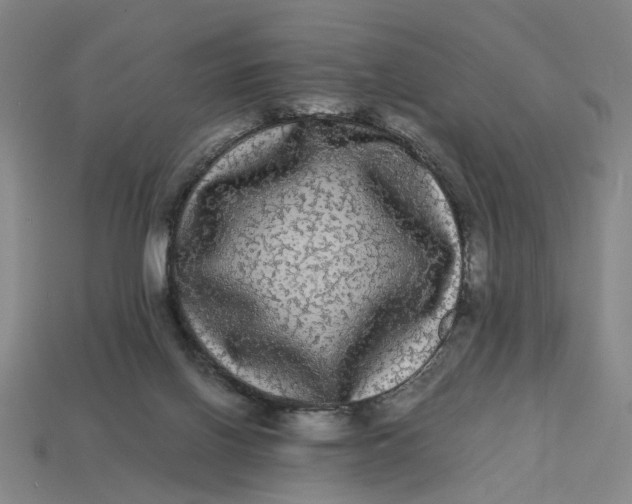 X0000113240070200910011334