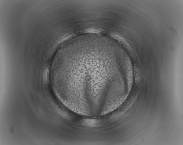 X0000113240071200910011334