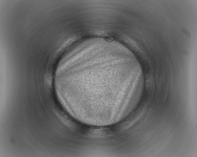 X0000113240072200910011334