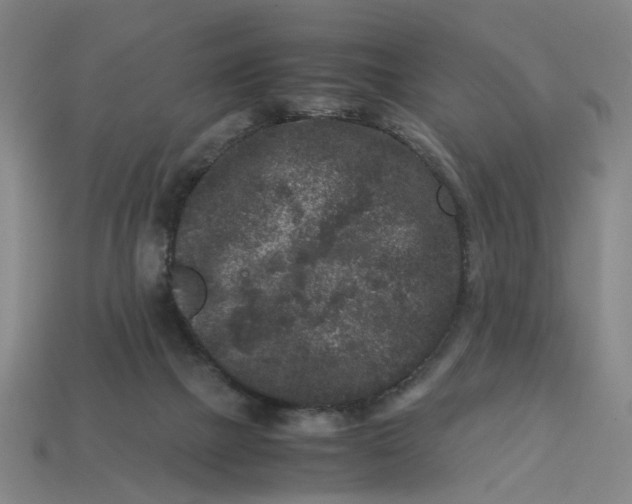 X0000113240073200910011334