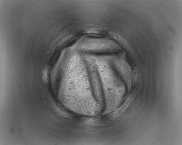 X0000113240074200910011334