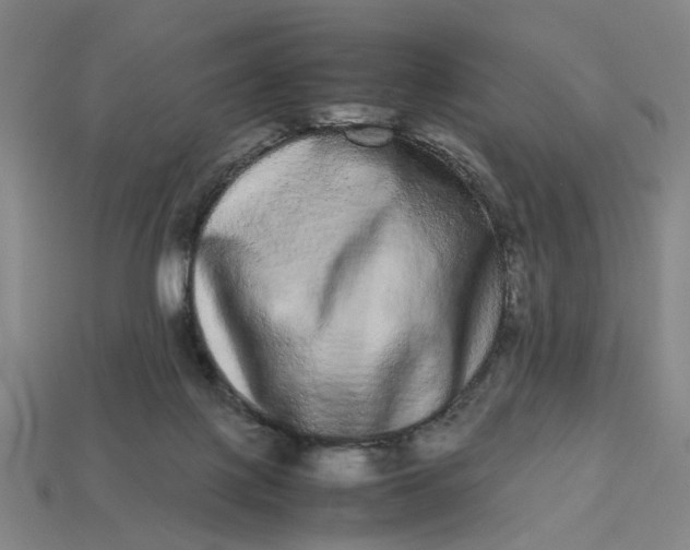 X0000113240075200910011334