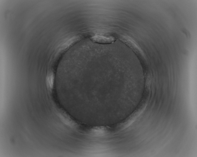 X0000113240076200910011334