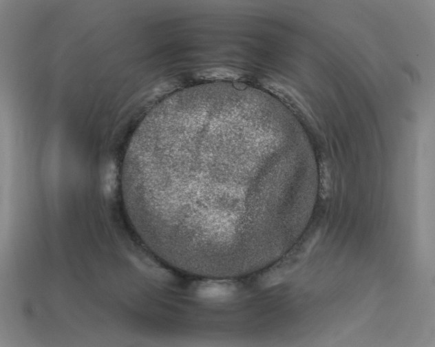 X0000113240077200910011334