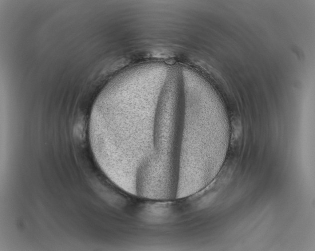 X0000113240078200910011334