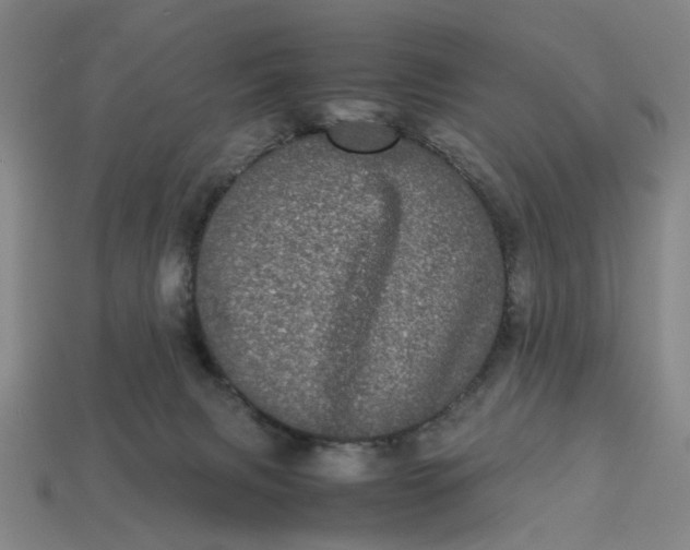 X0000113240079200910011334