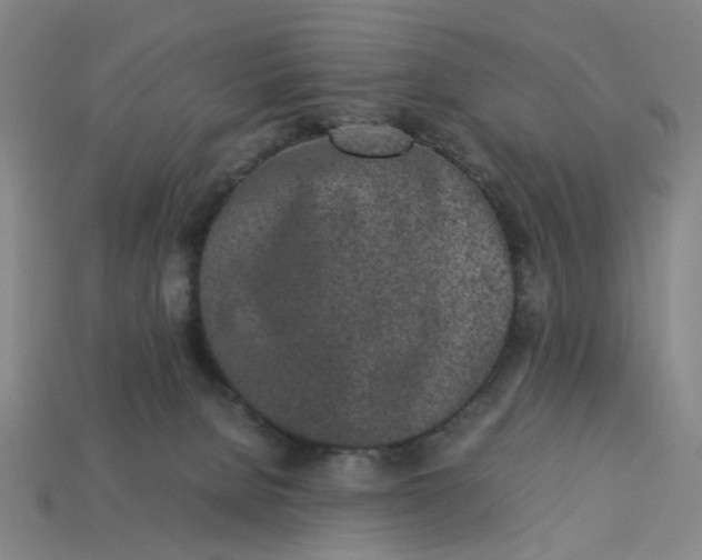 X0000113240080200910011334