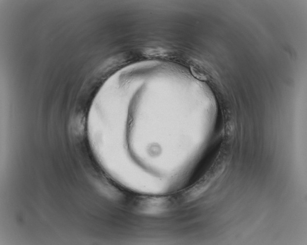 X0000113240081200910011334