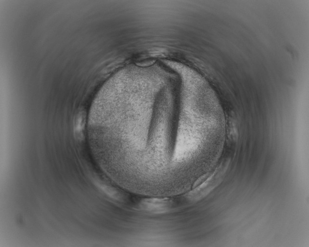 X0000113240082200910011334