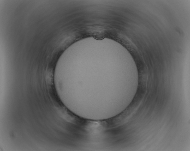 X0000113240083200910011334