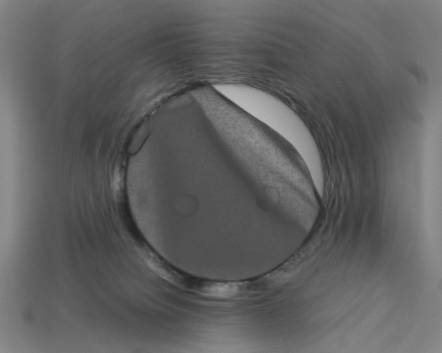 X0000113240084200910011334