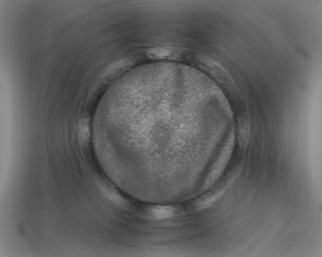 X0000113240085200910011334