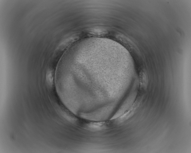 X0000113240086200910011334