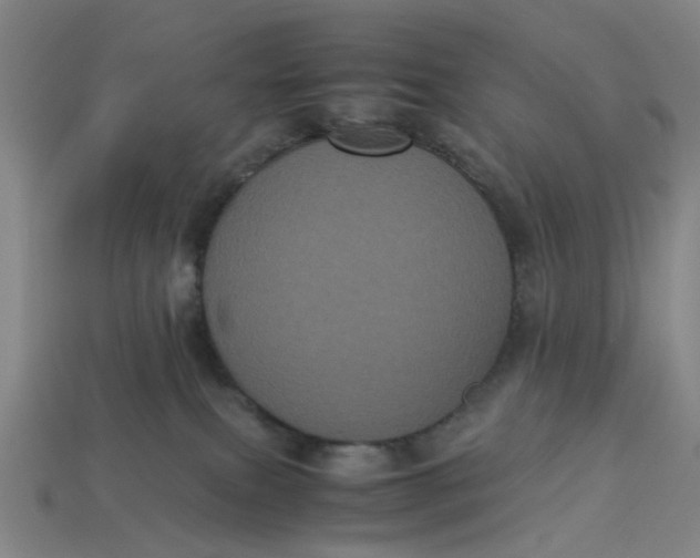 X0000113240087200910011334