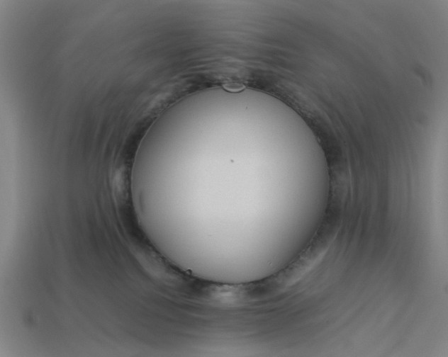 X0000113240088200910011334