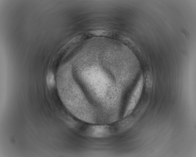 X0000113240089200910011334