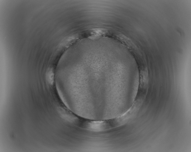 X0000113240090200910011334