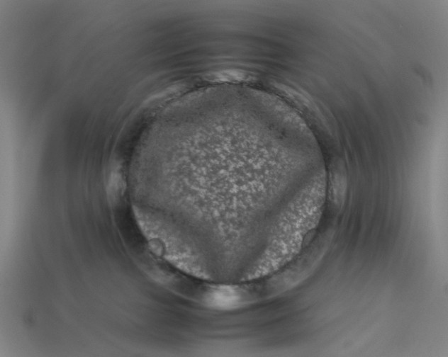 X0000113240091200910011334