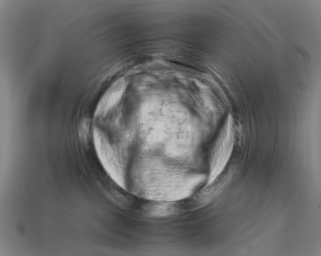 X0000113240093200910011335