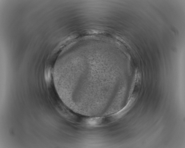 X0000113240094200910011335