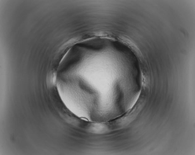 X0000113240095200910011335