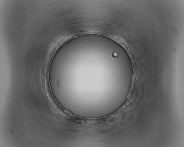 X0000113240097200910011334