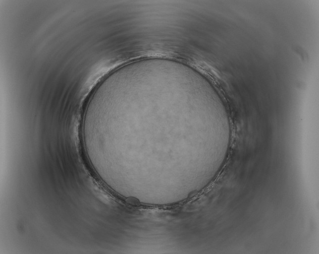 X0000113240098200910011334