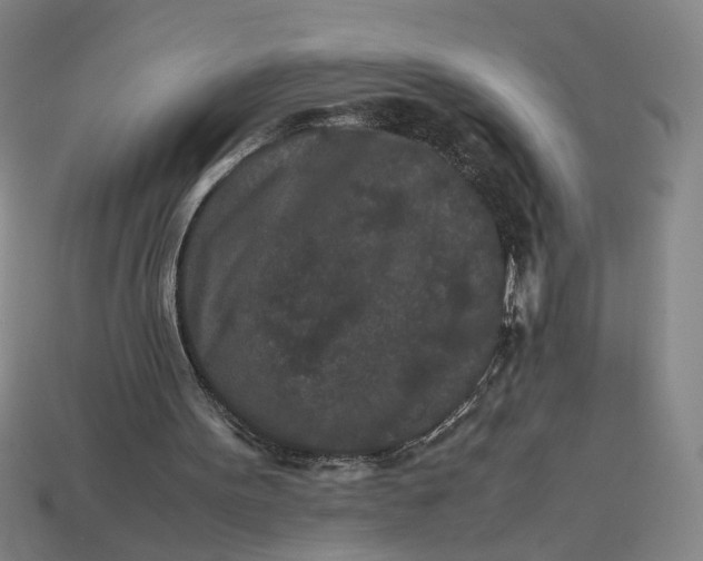 X0000113240099200910011334