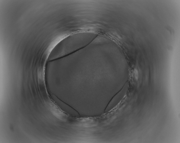 X0000113240100200910011334