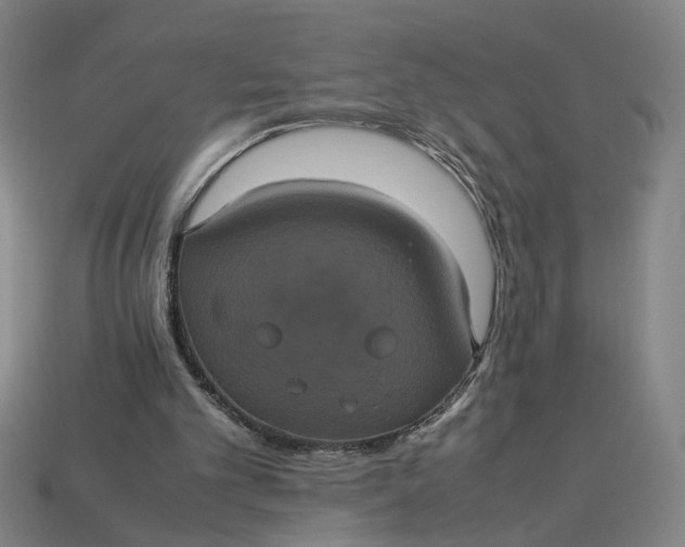 X0000113240101200910011334