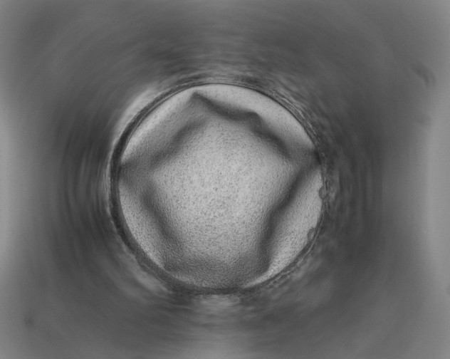 X0000113240102200910011334