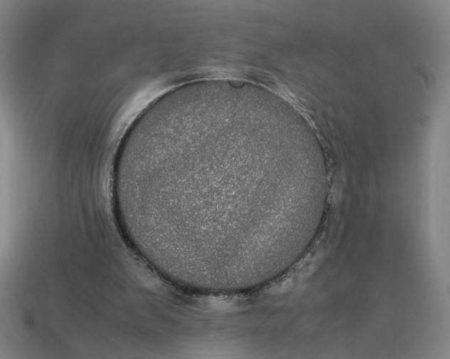 X0000113240103200910011334